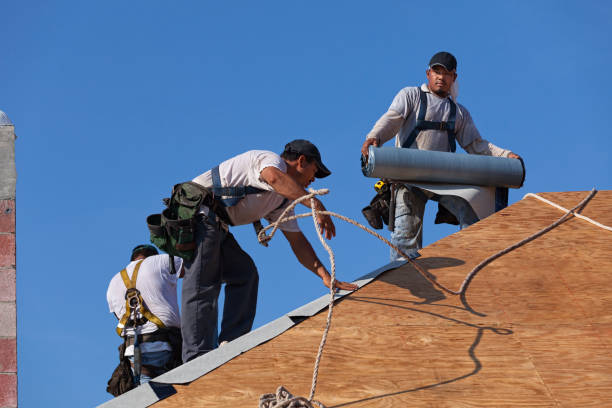 Best Roof Leak Repair  in Tylertown, MS
